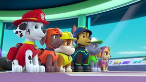 Pennut pelastavat haisevan kukan / Pennut pelastavat apinautin (S): 27.08.2018 07.58