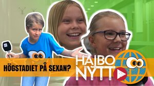 När vill du börja högstadiet? (S): 23.08.2018 21.51