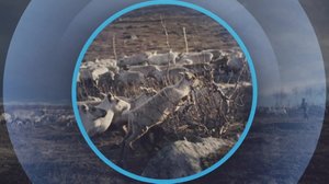 Oddasat: 24.08.2018 22.00