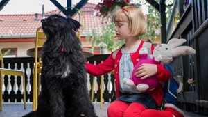 Kasper ja Petra puutarhureina (S): 30.08.2018 18.00