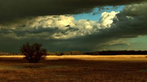 Live: Lyckas politikerna stoppa klimatförändringen? (S): 28.08.2018 12.55