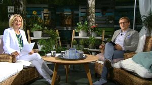 Ylen Aamu-tv: 29.08.2018 06.25