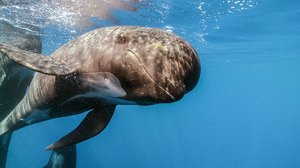 Elämää vastoin kaikkia odotuksia: 02.09.2018 11.45