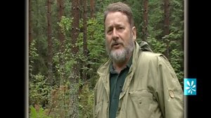 Viikon valinnat: Syksy: 30.08.2018 08.00