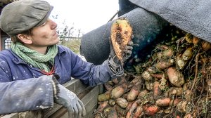 Tanskalainen maajussi: 02.09.2018 17.25