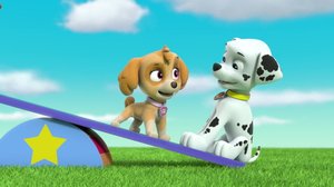 Pennut pelastavat jääkarhut / Koira lampaan vaatteissa (S): 03.09.2018 07.55