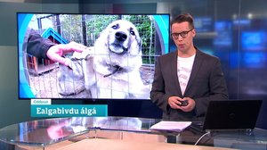 Oddasat: 31.08.2018 22.00