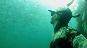 Luontoretkellä: Vedenalainen safari: 01.09.2018 12.40