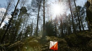 Suunnistuksen MC: 01.09.2018 20.00