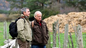 Onnellisempi kuin sika laitumella: 03.09.2018 16.00