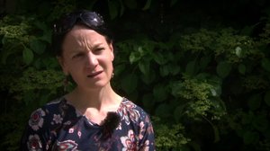 Pisara: 08.09.2018 15.05