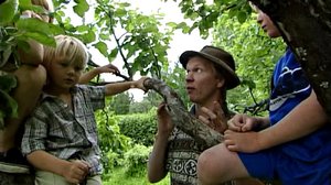 Omenapuu: 07.09.2018 00.15