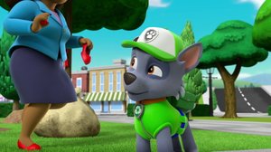 Pennut pelastavat Ryhmä Aleksin / Pennut etsivät hampaan (S): 10.09.2018 07.40