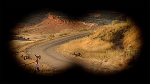 Riistametsällä: 10.09.2018 09.15