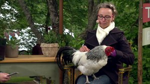 Parasta puutarhasta - Strömsön puutarhailta: 15.09.2018 06.00