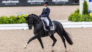 Ratsastuksen MM: Kouluratsastuksen 1. päivä: 12.09.2018 19.47