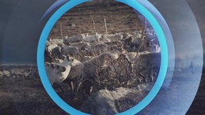 Oddasat: 14.09.2018 22.00