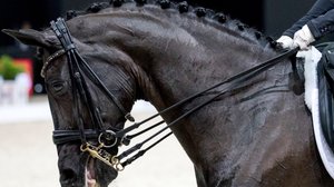 Ratsastuksen MM: Kouluratsastuksen 3. päivä: 15.09.2018 00.26