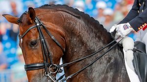 Kouluratsastus: 15.09.2018 15.15