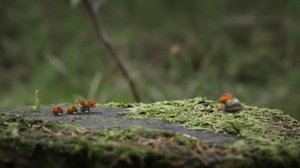 Ruohonjuuritasolla (S): 20.09.2018 18.54