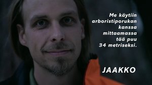 Puukiipeilijän puutarina: 17.09.2018 15.00