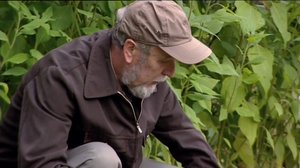 Milja ja möröjuhlat (S): 21.09.2018 18.00