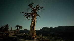 Yosemite: 22.09.2018 06.00