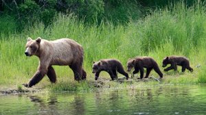 Yksinhuoltaja: 24.09.2018 06.00