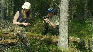 Metsä muutoksen kourissa: 24.09.2018 00.01