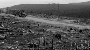 Kansallispuisto vai hakkuuaukea?: 24.09.2018 00.01