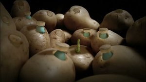 Ruohonjuuritasolla (S): 27.09.2018 18.54