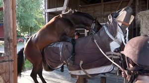 Luonto lähellä: 24.09.2018 11.13