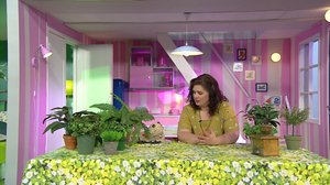 Veeran ja Kaarlon leikkimylly: 30.09.2018 07.40