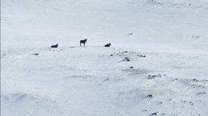 Luontomatkalla: 28.09.2018 09.00