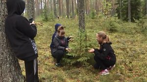 Mieli rauhoittuu ja liikunta lisääntyy, kun oppitunti pidetään metsässä: 01.10.2018 13.00