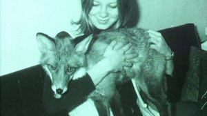 Viikon valinnat: Eläinten oikeudet: 04.10.2018 08.30