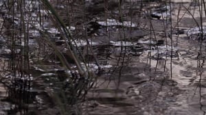 Ainutlaatuinen Inari: 06.10.2018 15.39