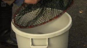 Yle Uutiset Pohjois-Suomi 03-10-2018 Klo 18-22: 03.10.2018 17.44