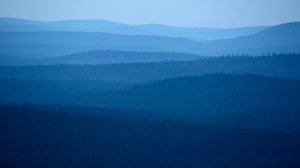 Luonto-Suomen metsätähtiä ja Metsäradio Evolta: 03.10.2018 21.00