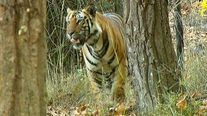 Madhya Pradesh: 07.10.2018 20.50