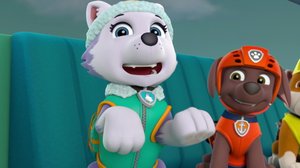 Pennut ja Jaken kakku / Pennut ja hurja lasku (S): 07.10.2018 08.10