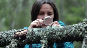 Minnan kääpäkävely: 04.10.2018 11.35