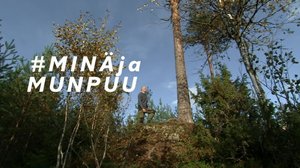 Arvin metsän emopuu: 04.10.2018 12.00