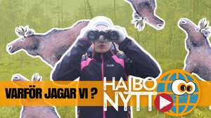 Varför jagar vi? (S): 05.10.2018 08.39