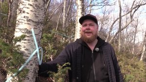 Norjaa ristiin rastiin: 08.10.2018 18.55