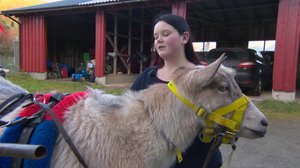 Norjaa ristiin rastiin: 08.10.2018 19.56