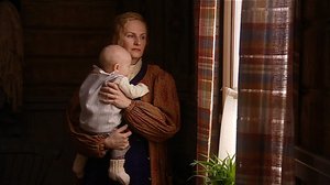 Pahan omantunnon puu (12): 11.10.2018 00.04