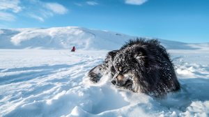 Toskalin Äijä: 14.10.2018 00.01