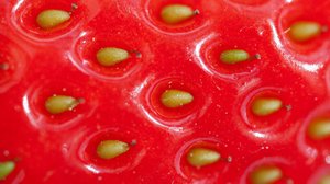 Makujen maailma: 15.10.2018 06.00