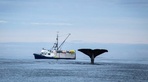 Kevät: 15.10.2018 06.00